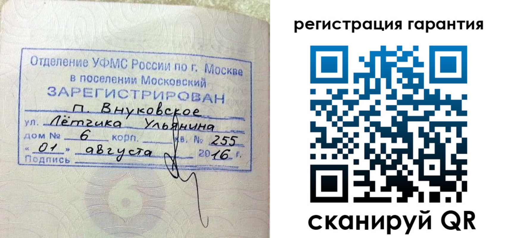 прописка штамп в Ясном